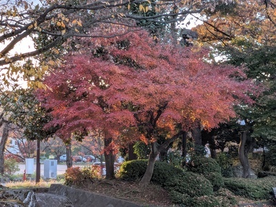 ギャラリー｜Nフォト