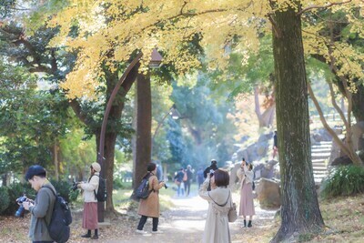 ギャラリー｜TOKYO iMAGING CLUB