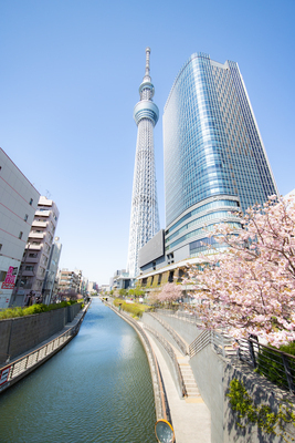ギャラリー｜TOKYO iMAGING CLUB