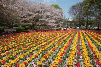 ギャラリー｜あるカメ(あるくカメラサークル)