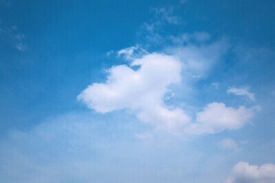 ギャラリー｜内向的　散歩写真サークル　(20代)