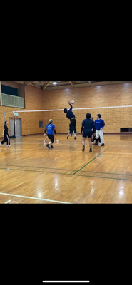 ギャラリー｜NEXUS