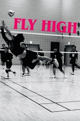 ギャラリー｜The ICHIGO Volleyball 