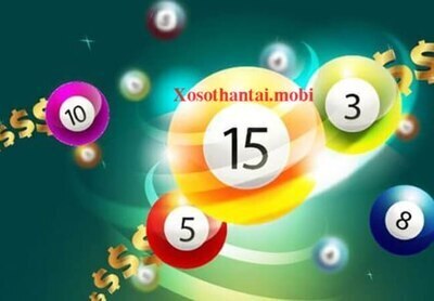 ギャラリー｜sineka