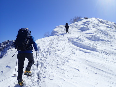 ギャラリー｜チームさわねこ