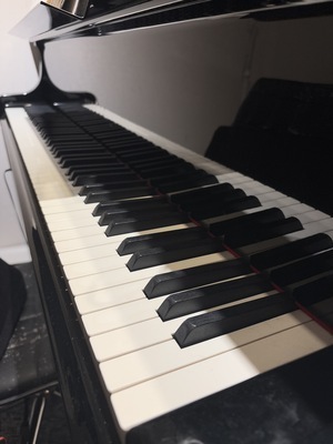 ギャラリー｜ゆっくり楽しむ♪シニアピアノサークル「音の葉」