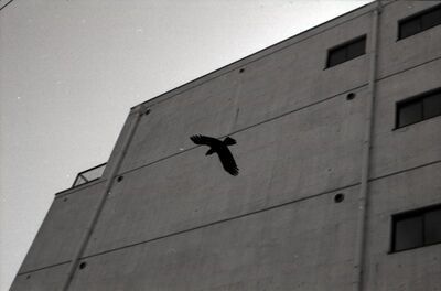 ギャラリー｜西はりまカメラ部