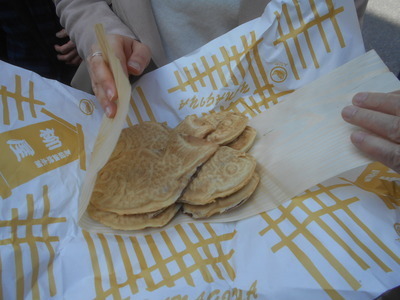 ギャラリー｜東京お散歩教室