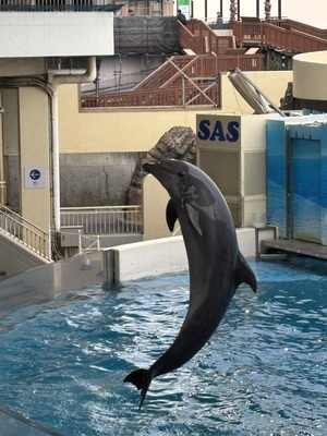 ギャラリー｜サークルアスト