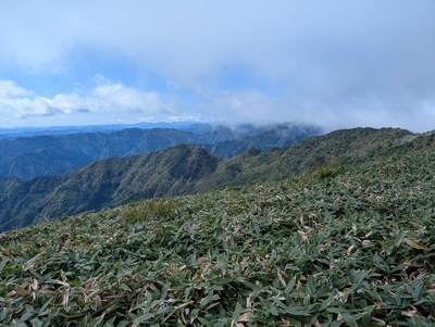 ギャラリー｜媛山会