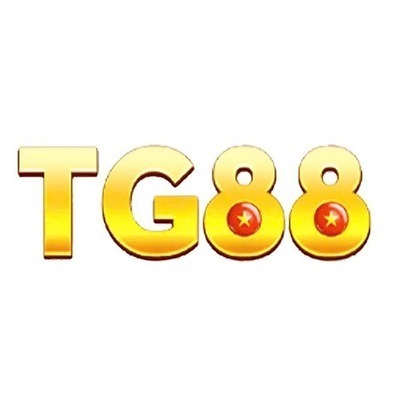 ギャラリー｜tg88onecom