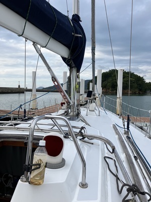 ギャラリー｜ビーチくらぶ⛱️ココナッツ部🥥