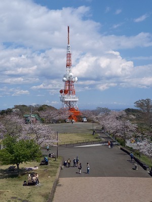 プロフィール｜平塚のんびり読書会