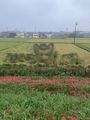 プロフィール｜写友会