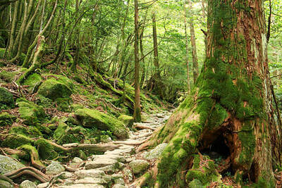 ヘッダー画像｜宮城仙台登山