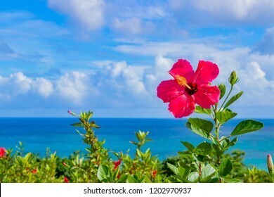 プロフィール｜【カラオケコミュ沖縄】週末のカラオケ会/那覇エリア/50代60代/アットホーム少人数シェア/呑みオッケー!