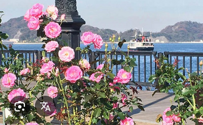 ヘッダー画像｜【横浜エリア】カラオケゆうゆうライフ