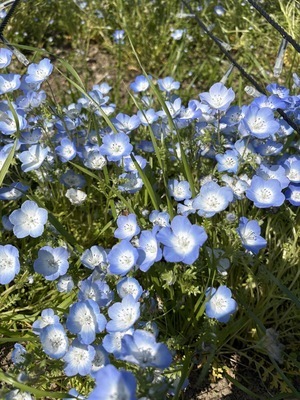 プロフィール｜うっかりさん　（男性メンバーさん募集しております！）