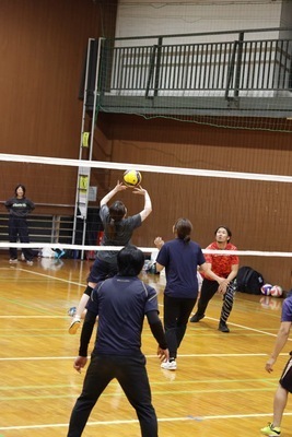 プロフィール｜enjoy！volleyball🏐✨