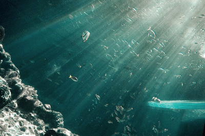 プロフィール｜photo circle Flare