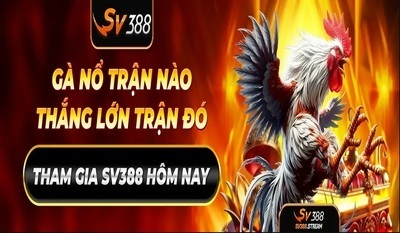 プロフィール｜SV388