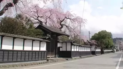 プロフィール｜登米トーク会