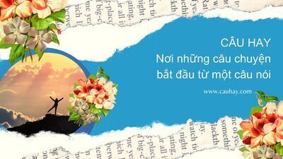 プロフィール｜Câu hay