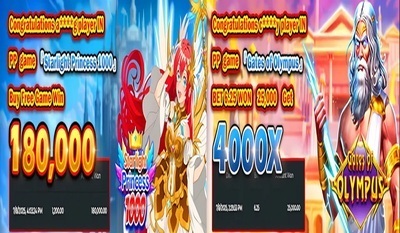 プロフィール｜PHLWIN