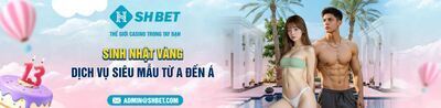 プロフィール｜Nhà cái SHBET