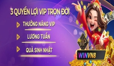 プロフィール｜WINVN
