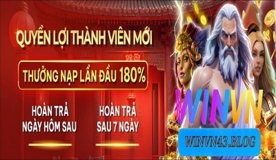 プロフィール｜WinVN