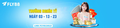 プロフィール｜fly88gold1