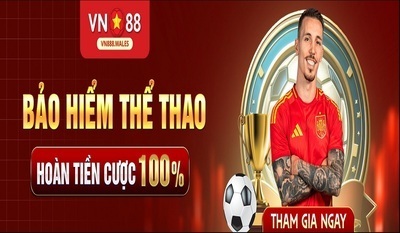 プロフィール｜vn888wales