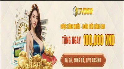 プロフィール|SV368