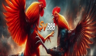 ヘッダー画像｜sv388kkart