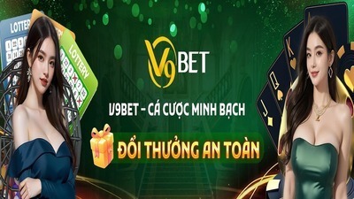 プロフィール|V9Bet