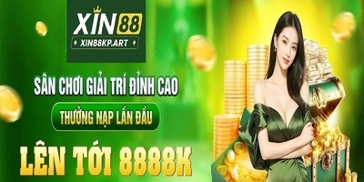 プロフィール|Xin88