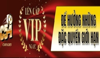 プロフィール|C54