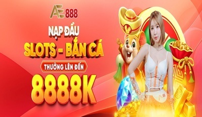 プロフィール｜AE888