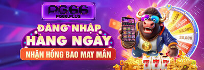 プロフィール｜pg66plus