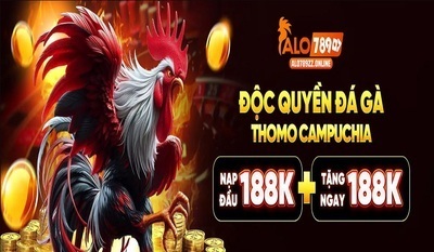 プロフィール｜alo789zzonline