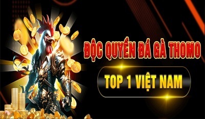 プロフィール｜alo789gvart