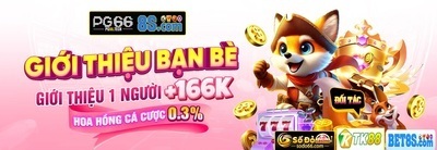 プロフィール｜pg66tech