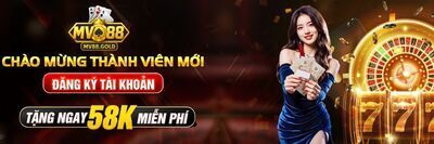 プロフィール｜mv88gold