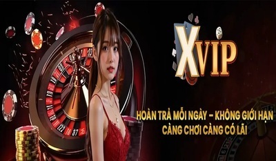 プロフィール｜xvipcfd