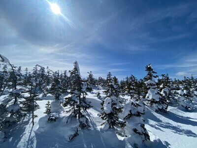 プロフィール｜初心者から上級者まで気軽にスノーボードを楽しむ社会人サークル🏂