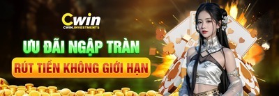 プロフィール｜Cwin