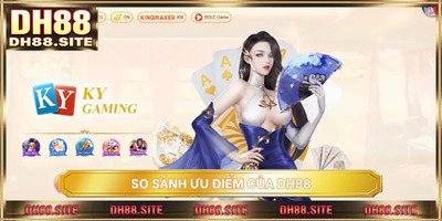 プロフィール｜DH88