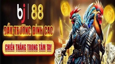 プロフィール｜bj88art