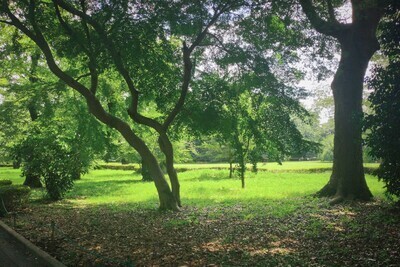 プロフィール｜内向的　散歩写真サークル　(20代)